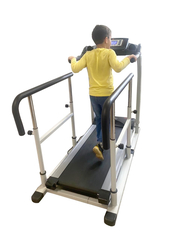 Беговая дорожка AMF TX001 + поручни D1