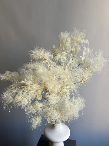 Котинус стабилизированный выбеленный