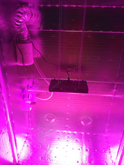 Гроубокс 180х120х60 для выращивания растений с LED освещением