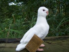 Hansa Мягкая игрушка 