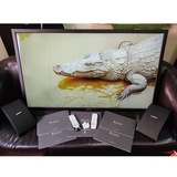 Всепогодный уличный телевизор ProofVision Aire Outdoor TV PV55HB
