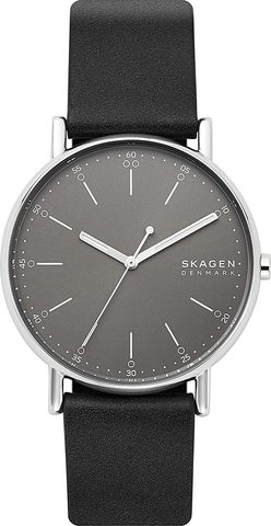 Наручные часы Skagen SKW6654 фото