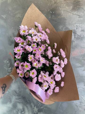 Хризантема Сантини Росси pink