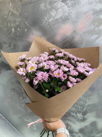 Хризантема Сантини Росси pink