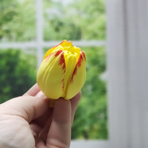 Силиконовая форма 