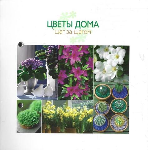 Цветы дома: Шаг за Шагом. Разделы 1, 2
