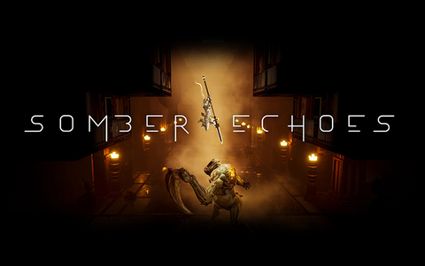 Somber Echoes (для ПК, цифровой код доступа)