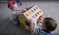 ЧикиБрики Развивающая игрушка Бизиборд 