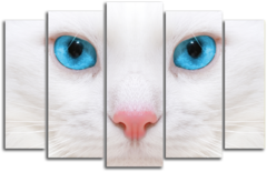 Модульная картина "Глаза белой кошки"