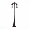 Светильник уличный ST Luce Lastero SL080.425.02