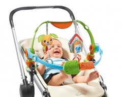 Tiny Love Дуга-арка для ручек и ножек 