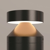 Ландшафтный светильник Maytoni Olten O591FL-L12GF3K