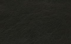 Искусственная кожа Mercury black 620 (Меркури блэк)