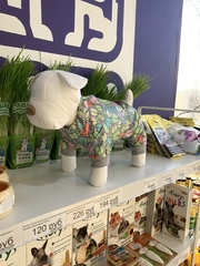 Костюм с утеплением для мелких пород собак, влагозащищенный, флис