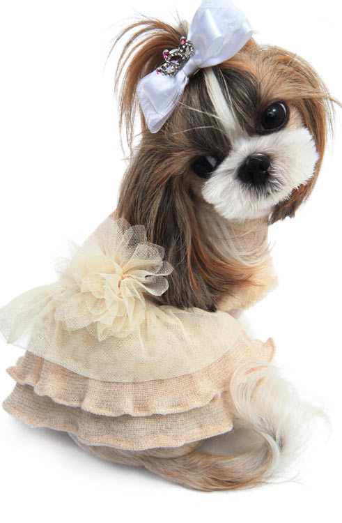 Платье вязаное для собак- купить в Киеве и Украине по выгодной цене | Интернет-магазин Фаунамаркет