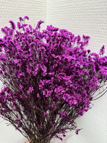 Лимониум Фуксия