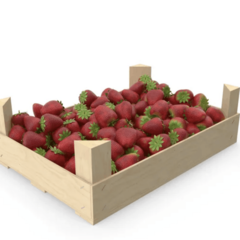 Ящик для Фруктов и Овощей 