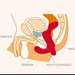 Массажер простаты DUKE черный от Fun factory