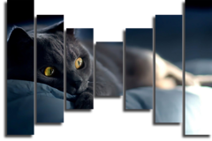 Модульная картина "Забавная кошка"