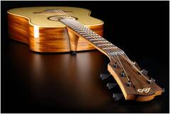 Гитара акустическая LAG T-88D