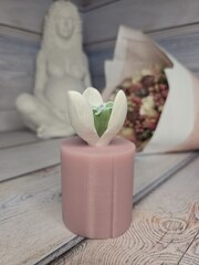 Силиконовая форма 