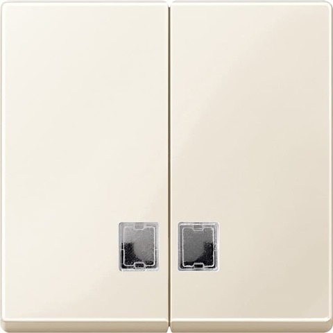 Клавиша двойная с окошком для индикации. Цвет Бежевый. Merten System M. MTN438544