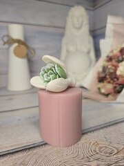 Силиконовая форма 
