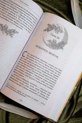 Светлый пепел луны. Книга 2
