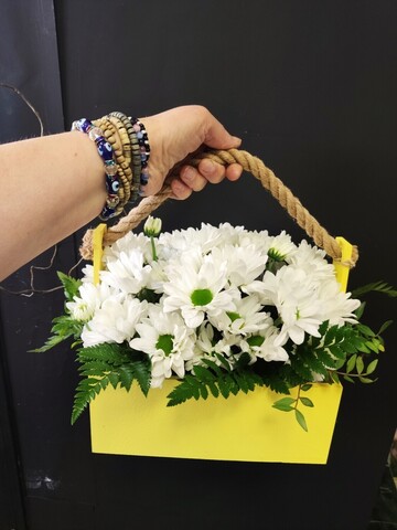 Ящик с ромашками