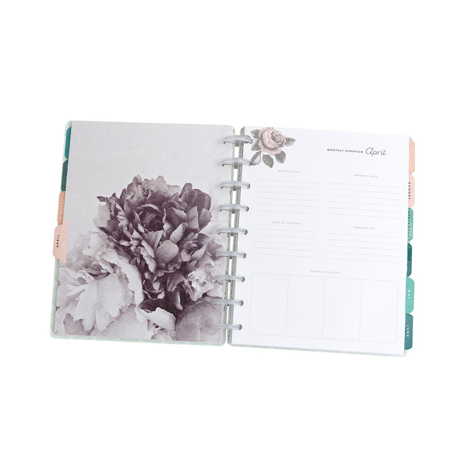 Планер на дисках, не датирован. Maggie Holmes Day-To-Day Undated 12 Month Planner- Golden