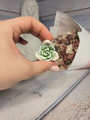Силиконовая форма 