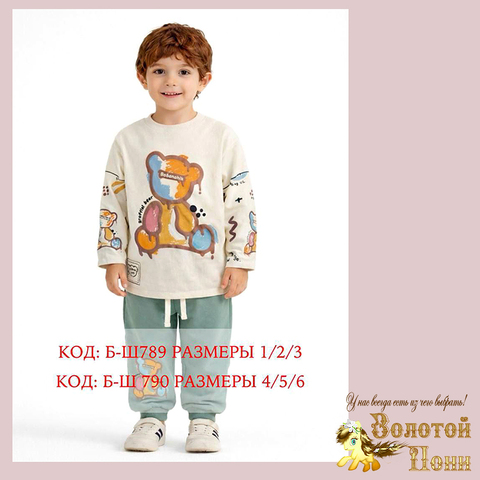 Костюм мальчику (1-3/4-6) 260201-TR1177