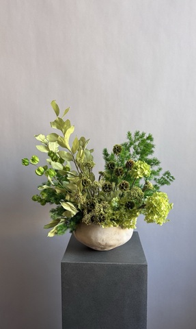 Композиция в кашпо Озотамнус