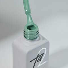 Гель-лак Ta2 / цветной гель-лак №045