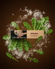 БАЗА 250гр. Одуванчик / Dandelion