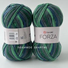 YarnArt Forza 2506
