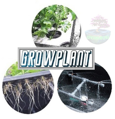 Grow Plant