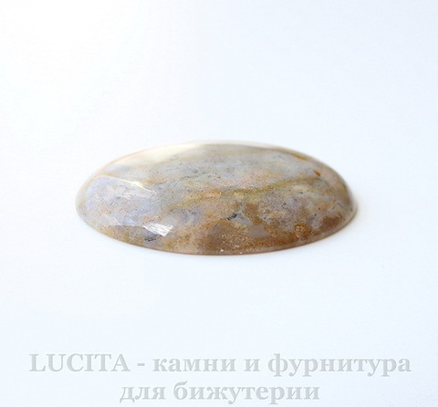 Кабошон овальный Агат Индийский 40х30х6 мм №47 ()