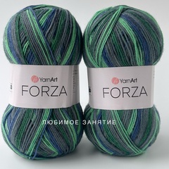 YarnArt Forza 2506