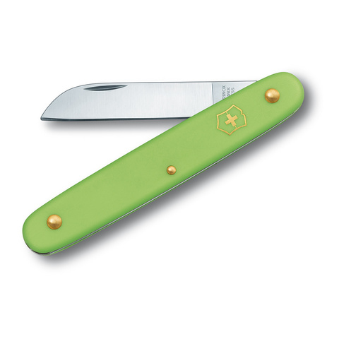 Нож Victorinox EcoLine Floral, 100 мм, 1 функция, салатовый