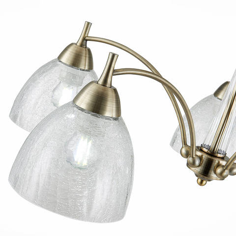 Люстра потолочная Evoluce Nuele SLE104402-05