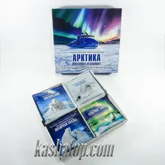 Подарочный набор напитков 'Арктика: настоящее и будущее' 'Гелиос', 500г
