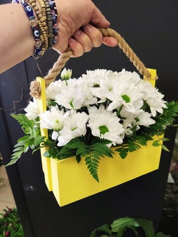 Ящик с ромашками