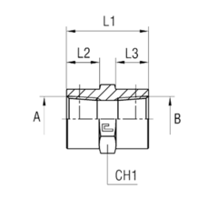 Соединение PS BSPT 1/2" BSPT 3/4" CAST