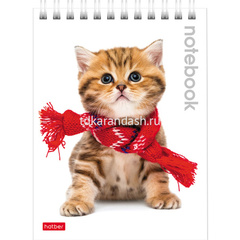 Блокнот А6 40л 