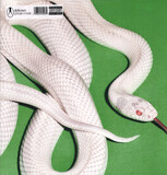 DEFTONES: Private Music (Виниловая пластинка)