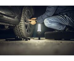 Armytek Bear WRG F09901C