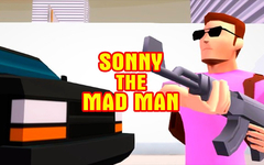 Sonny The Mad Man: Casual Arcade Shooter (HapGames) (для ПК, цифровой код доступа)