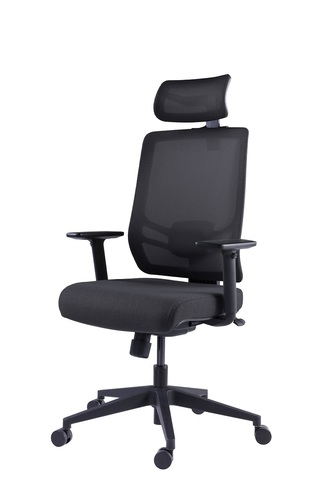 Премиум эргономичное кресло GT Chair InFlex Z, черный