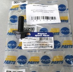 БОЛТ ШЕСТЕРНИ РАСПРЕДВАЛА ВЫПУСКНОГО GAMMA 1 AMD M10*1,25*24